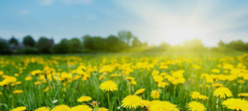 Добро пожаловать,на сайт компании,"ПромXим-Сфера"